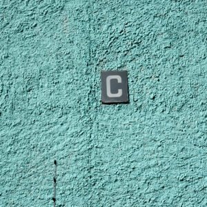 Flowered ground #05 Flowered ground #05