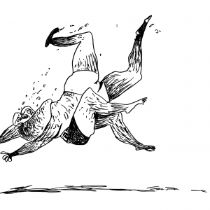 Brute dance #14 Brute dance #14