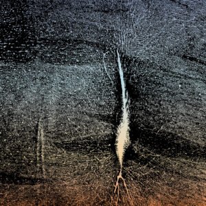 Epidermal landscape #01 Epidermal landscape #01
