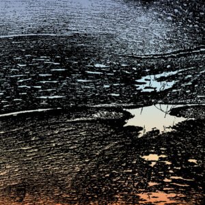 Epidermal landscape #02 Epidermal landscape #02
