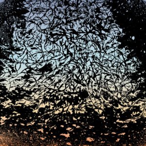 Epidermal landscape #06 Epidermal landscape #06