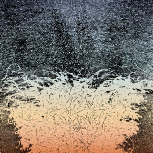 Epidermal landscape #09 Epidermal landscape #09